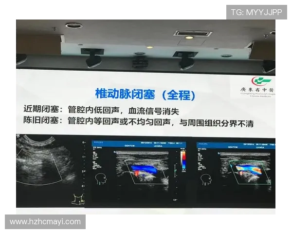 哈肯与哈马比的对决分析及双方近期状态评估 哈肯与哈马比的对决分析及双方近期状态评估